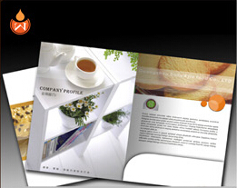 精緻(zhì)封套 極(jí)緻(zhì)炫彩定制印刷